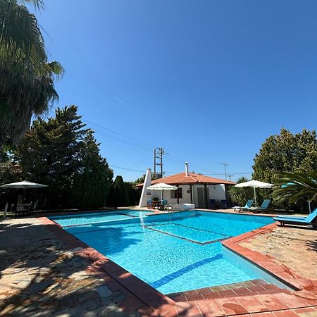 Country House With Pool And Big Garden オロポス エクステリア 写真
